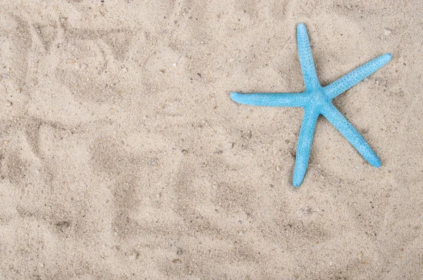 Sanden och havet skal isolerade — Stockfoto