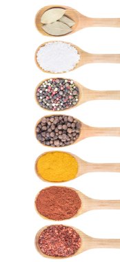 tahta kaşık üzerinde 7 baharat koleksiyonu
