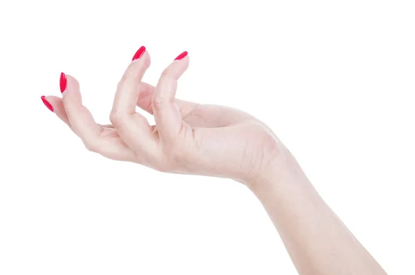 Mano femenina con manicura francesa roja —  Fotos de Stock