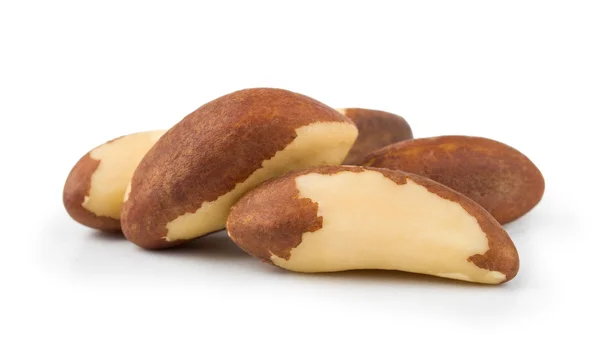 Бразильские орехи — стоковое фото