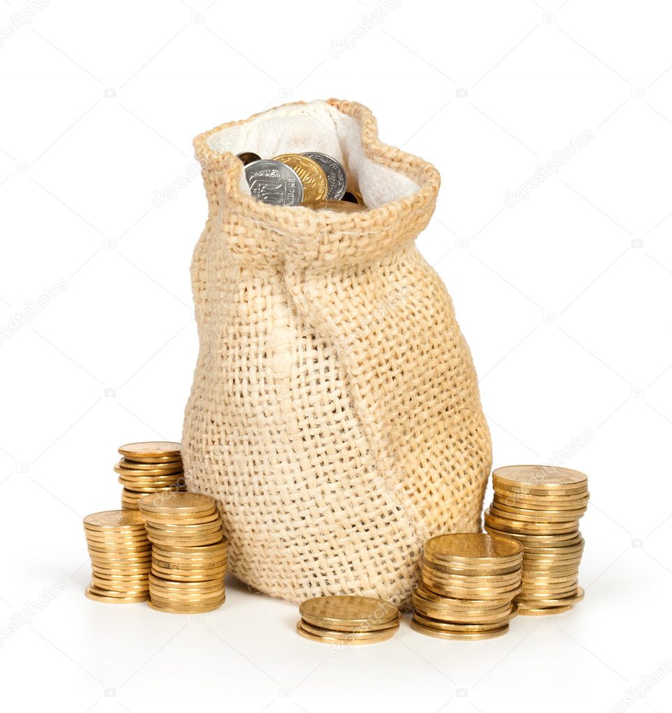 Money coins in bag