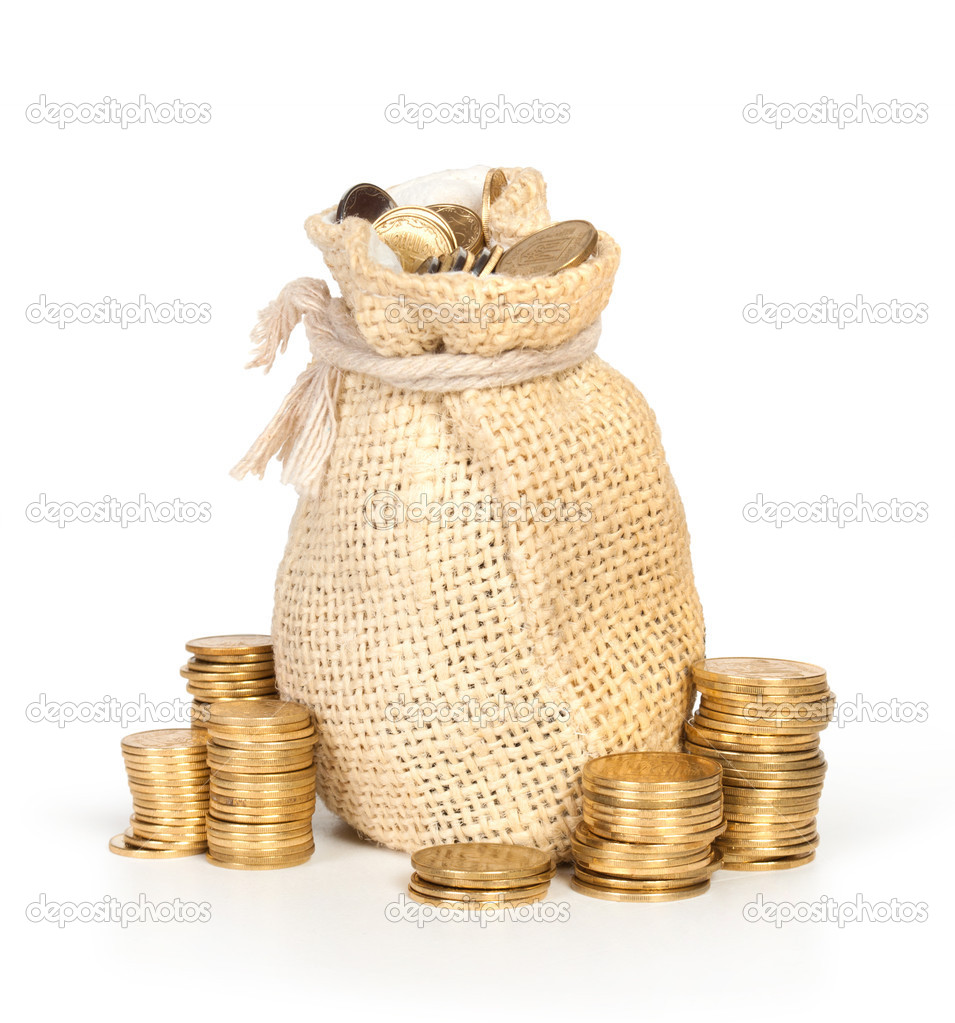 Money coins in bag