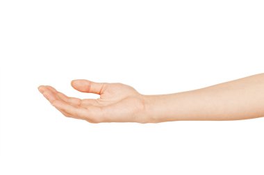 boş kadın kadına el