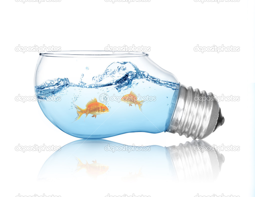 Lightbulb with goldfish