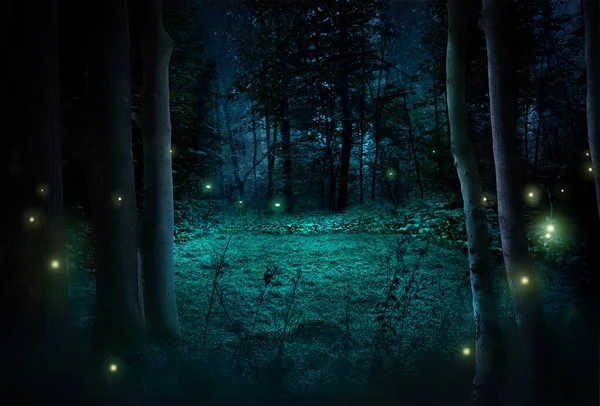 Φανταστικό Νυχτερινό Δάσος Υπό Φως Του Φεγγαριού Εικονογράφηση — Φωτογραφία Αρχείου
