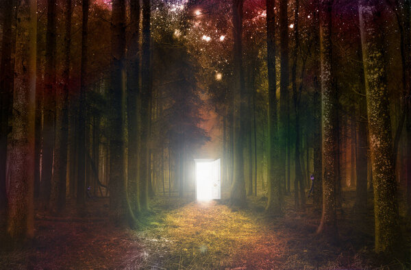Unusual light in door of the middle of a fantasy night forest. 3d illustration.