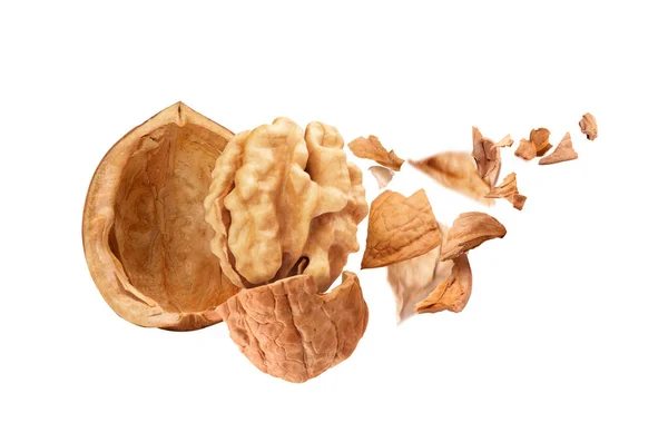 Walnut Blown Pieces — Stock Photo, Image