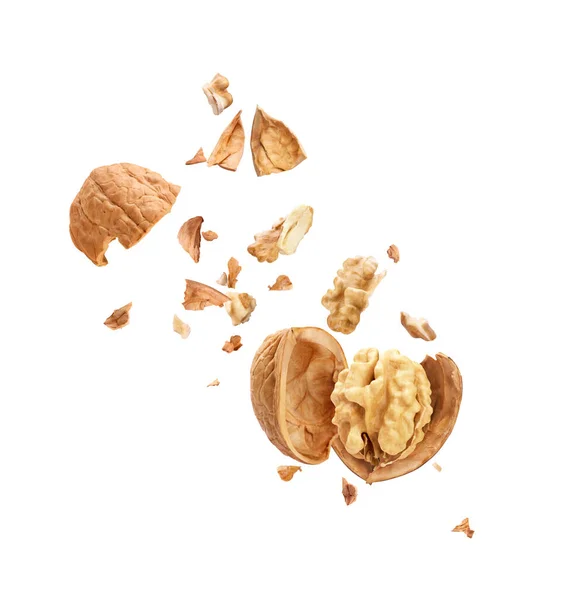 Walnuts Flight White Background — Stock Photo, Image