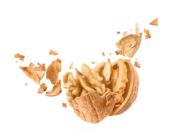 Walnut Flies Air White Background — Stock Photo, Image