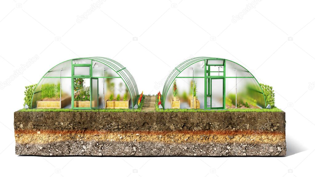 Front view on greenhouses and a flowered path between them, located on a piece of ground, isolated on white background, 3d illustration