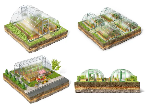 Набор Различных Теплиц Расположенных Кусках Земли Изолированных Белом Фоне Иллюстрация — стоковое фото