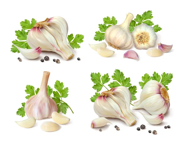 Garlic Set Isolated Vector Illustration — Stock Vector