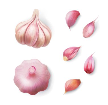 Sarımsak, soyulmuş ve tek parça. Vektör illüstrasyonu.