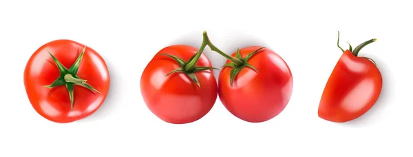 Rijpe Rode Tomaten Gezet Vector Realistische Illustratie — Stockvector