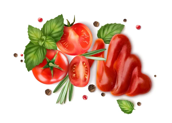 Ketchup Met Verse Tomaten Basilicum Rozemarijn Vectorillustratie — Stockvector