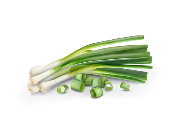 Green Fresh Onion Salad Vector Illustration — Vettoriale Stock