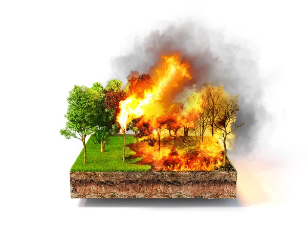 Pożar Lasu Kawałek Ziemi Pełen Pożarów Białym Tle Ilustracja — Zdjęcie stockowe