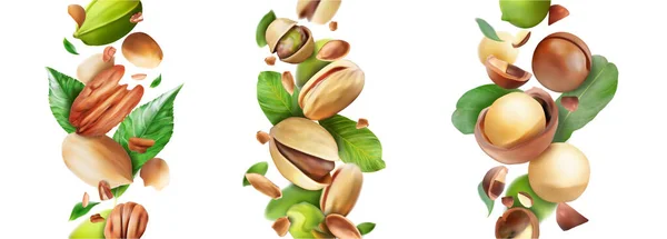 Establecer Nueces Macadamia Pacanas Pistachos Ilustración Vectorial — Archivo Imágenes Vectoriales