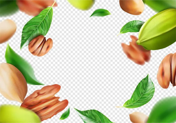 Background Pecan Nut Green Leaves Transparent Background Vector Illustration — Stock Vector