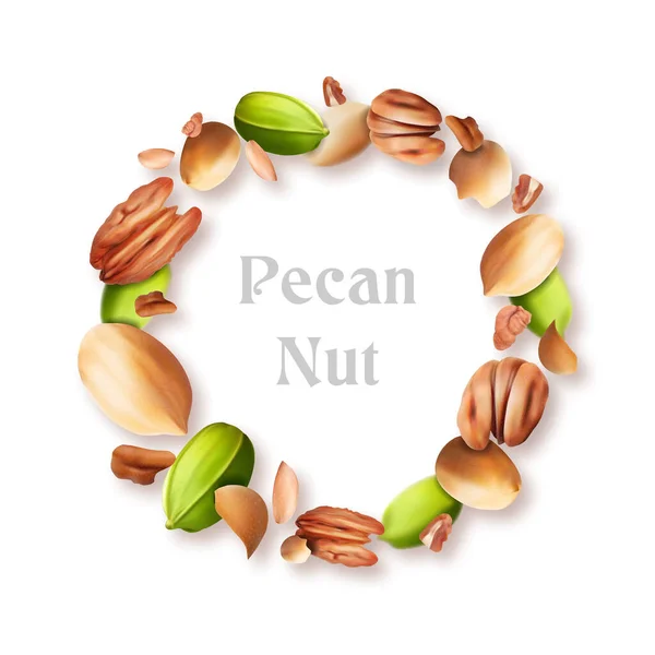 Composition Pecans Vector Illustration — Stock Vector