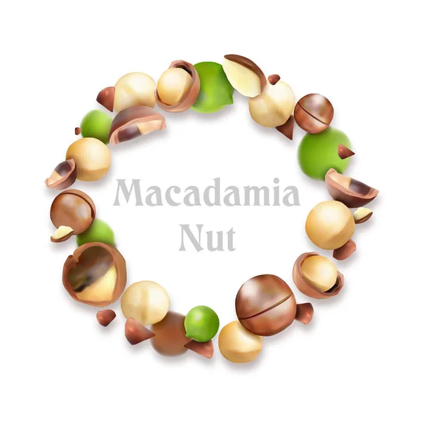 Délicieuses Noix Macadamia Noix Concept Publicité Illustration Vectorielle — Image vectorielle