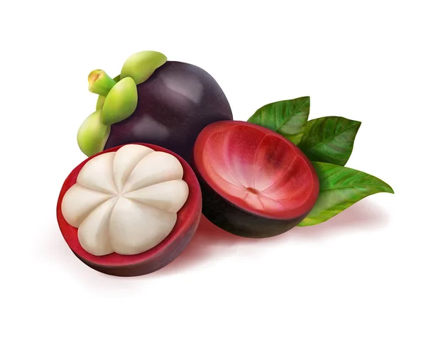Mangostão Frutas Exóticas Maduras Ilustração Vetorial — Vetor de Stock