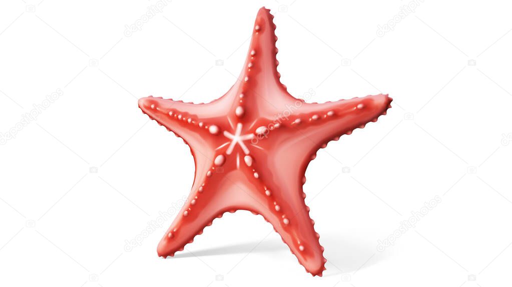 Starfish on a white background. Vector illustration