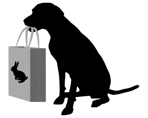 Dog shopping bunny — Stock Photo, Image