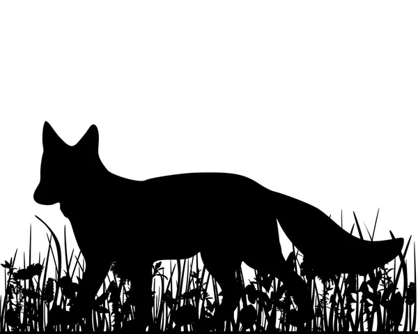 Fox in de weide — Stockvector