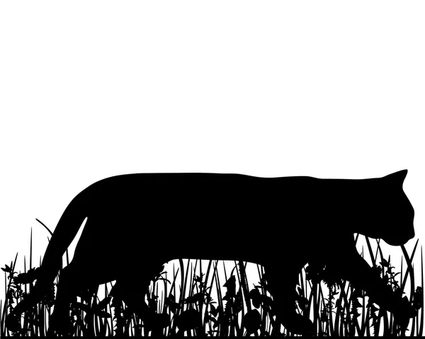Chat dans la prairie — Image vectorielle