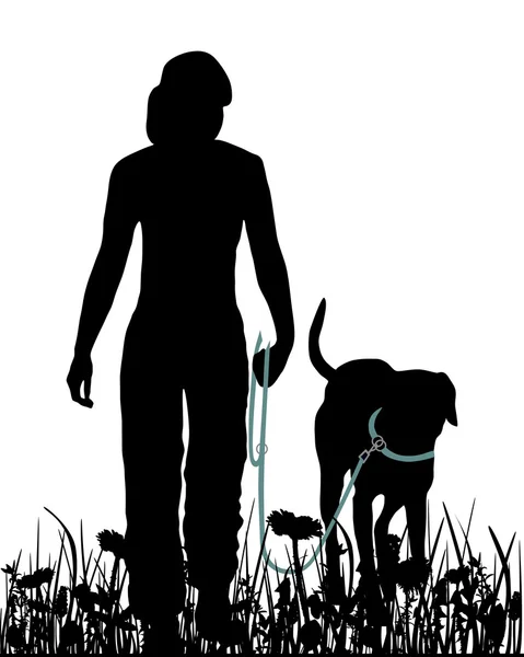 Wandelen met de hond in de weide — Stockvector