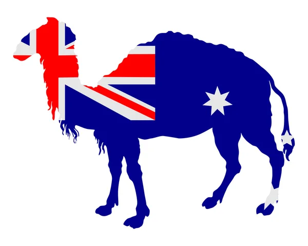 ラクダとオーストラリアの国旗 — ストックベクタ