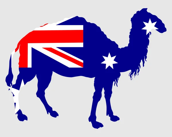 ラクダとオーストラリアの国旗 — ストックベクタ