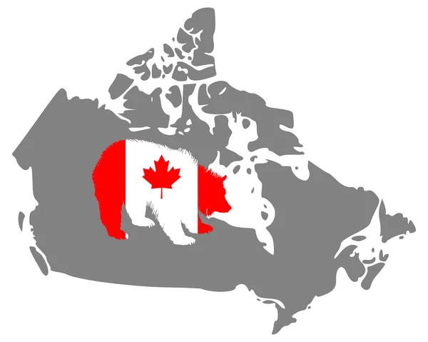 Kanadischer Grizzly — Stockvektor