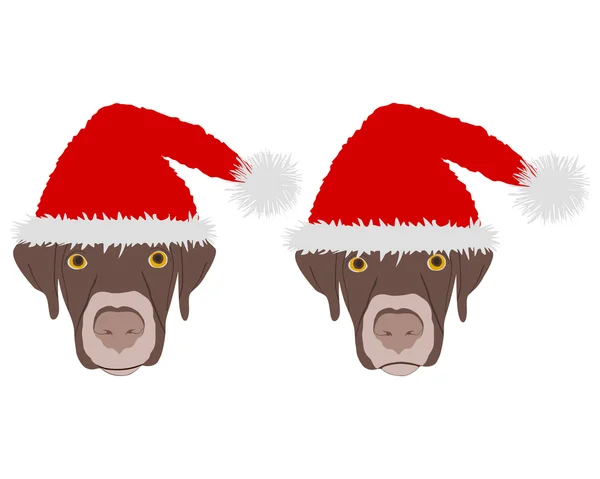 Duas cabeças de cão com tampas vermelhas de Papai Noel —  Vetores de Stock