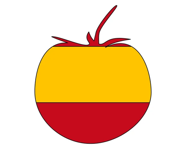 スペイン トマト — ストックベクタ