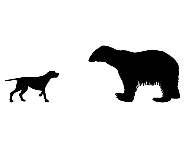 Dos animales, el setter y el oso de hielo se encuentran cara a cara — Vector de stock