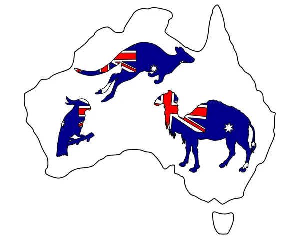 Australian animals Royalty Free Stock Illustrations