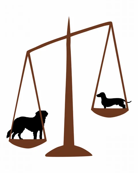 Saint Bernard and sausage dog on a balance — Stock Vector