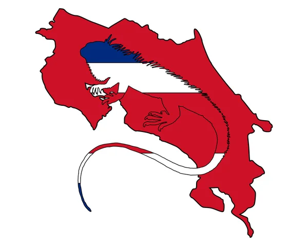 Iguane costa rica — Image vectorielle