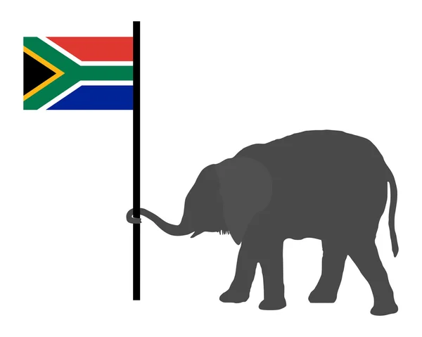 Bébé éléphant avec drapeau d'Afrique du Sud — Image vectorielle