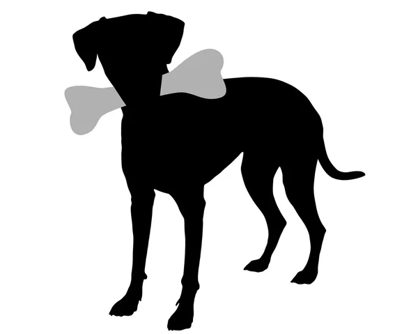 Perro con hueso — Vector de stock