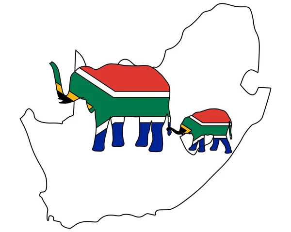 Südafrikanische Elefanten — Stockvektor