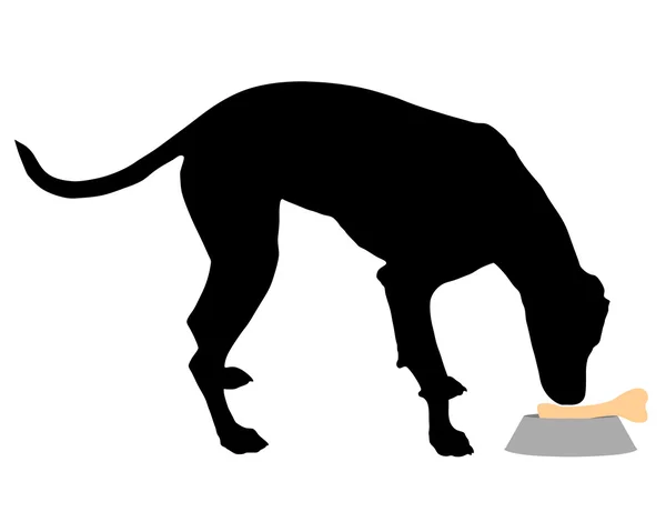 Alimentazione dei cani — Vettoriale Stock