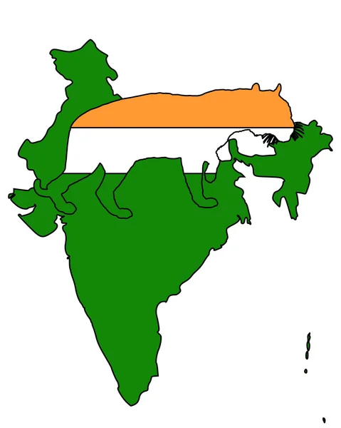 India tijger — Stockvector