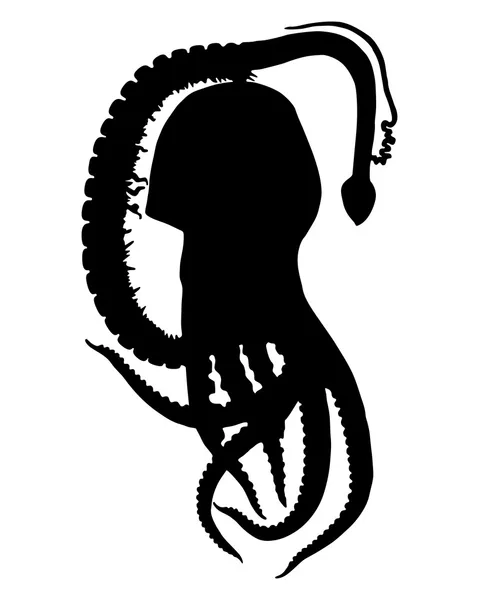 Blanket octopus Silhouette — Stock Vector