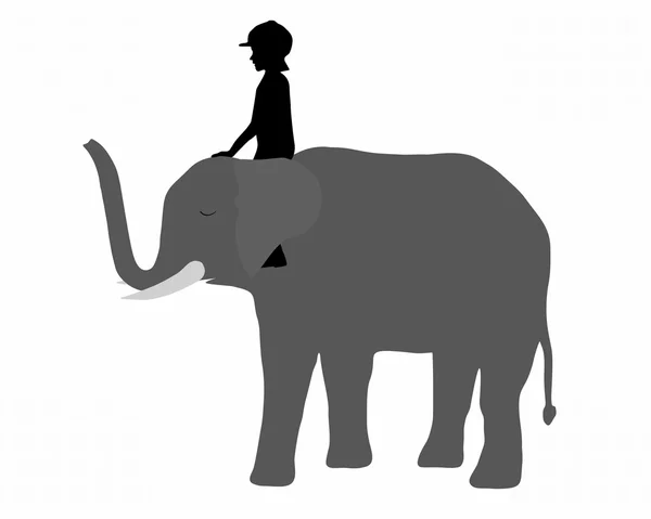 Menina está montando em um elefante — Vetor de Stock