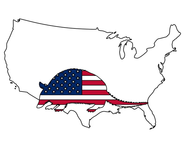 Gürteltier vereinigte staaten von amerika — Stockvektor