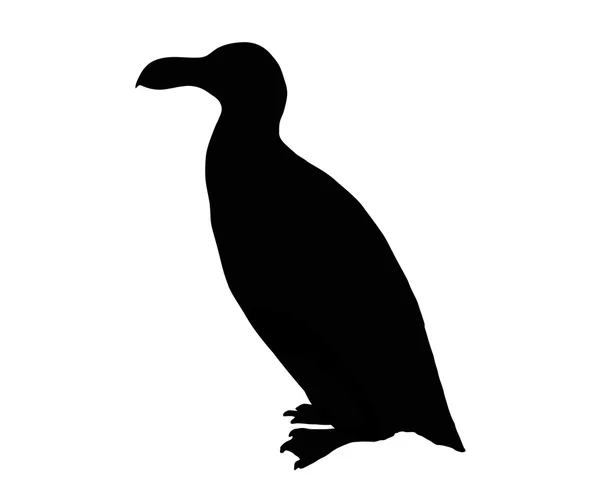 Razorbill as black silhouette on white background — Stock Vector