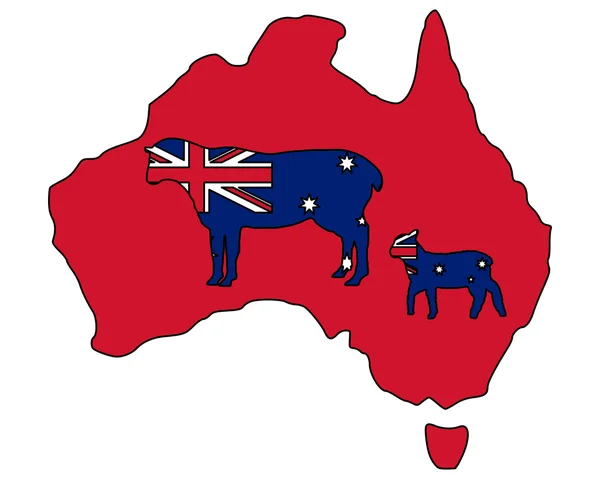 Avustralya koyun — Stok Vektör